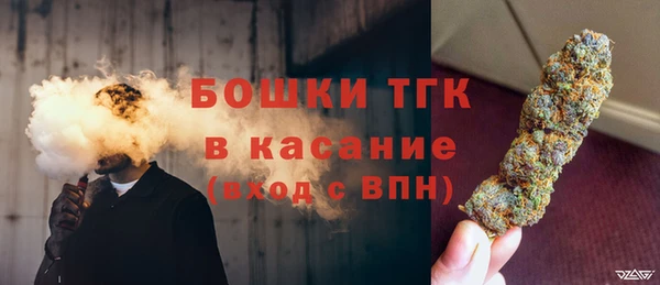 шишки Белокуриха