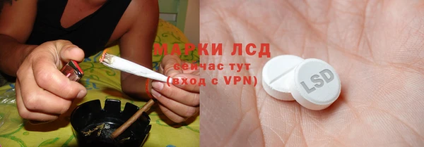 шишки Балахна