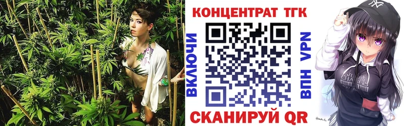 ТГК концентрат  купить   Шацк 